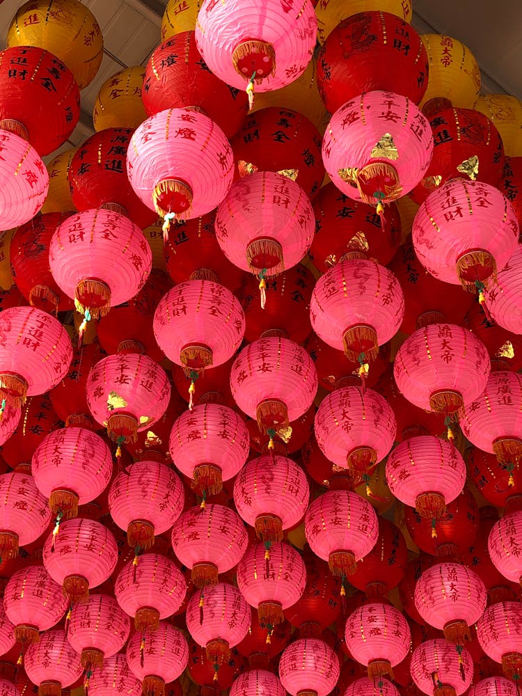 粉红色，中国灯笼