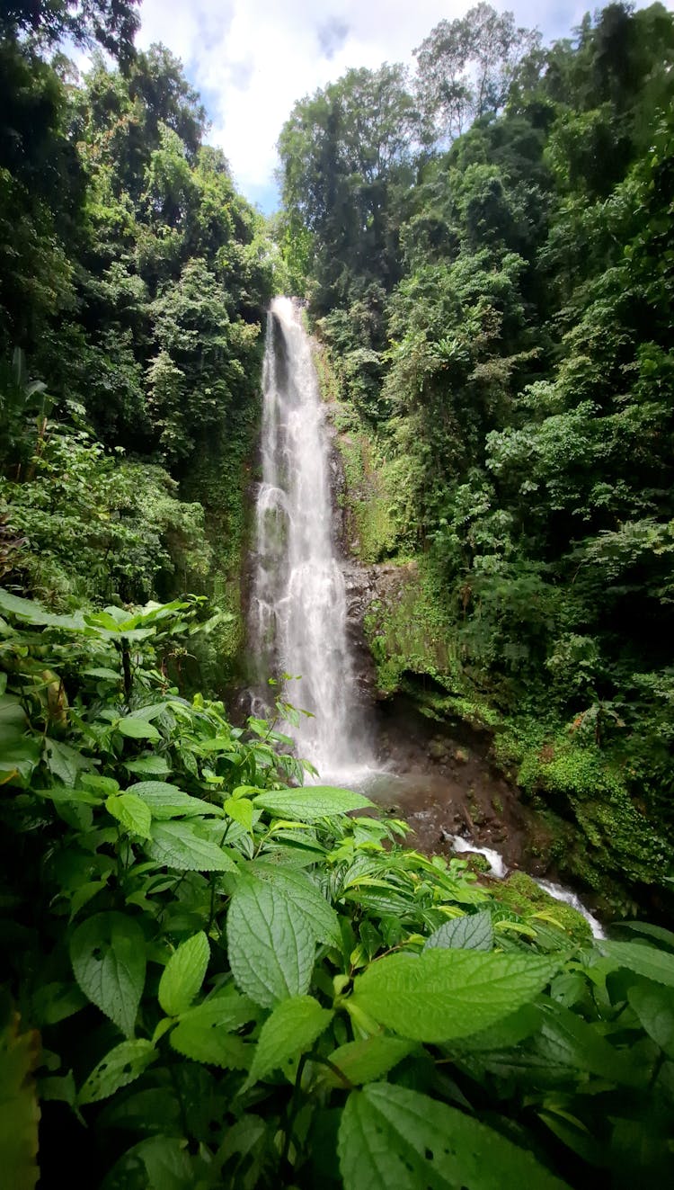 巴厘岛的黑瀑布