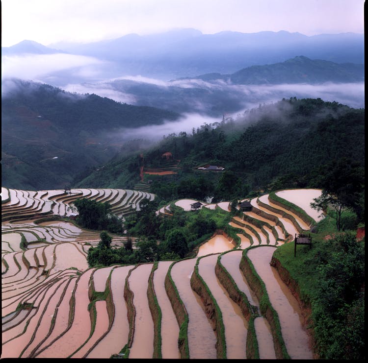 山丘上的梯田