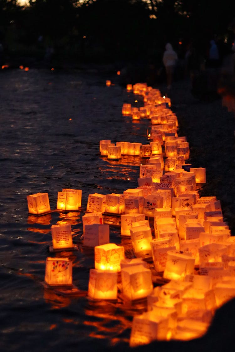 橙色的灯笼漂浮在水面上