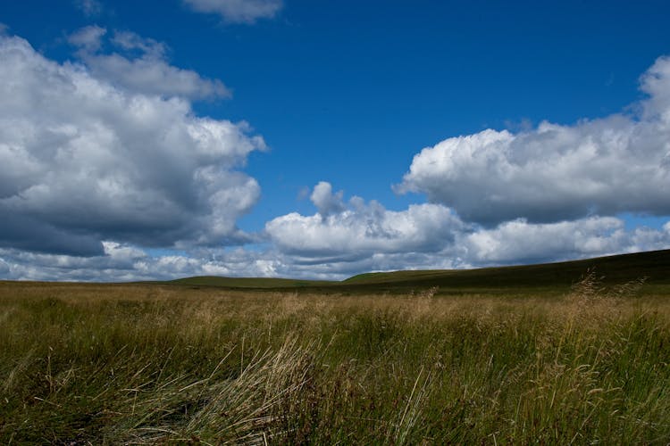 英国贝灵汉乡村宁静的风景