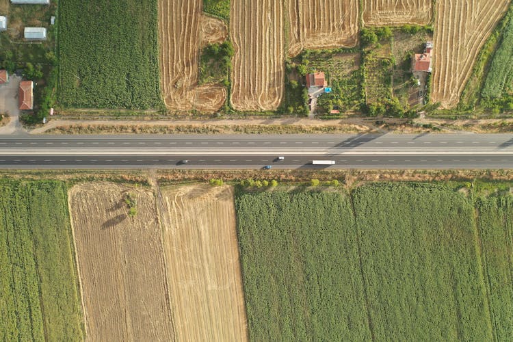 道路周围的农村田地