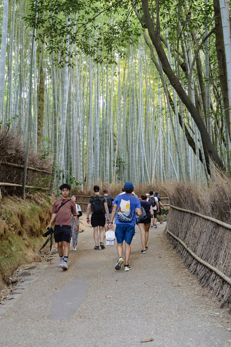 走在岚山竹林中的人们