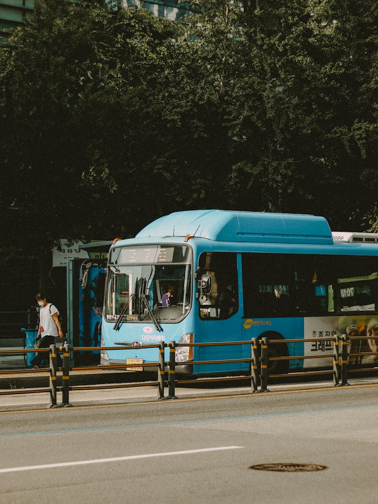 城市街道上的公共汽车照片