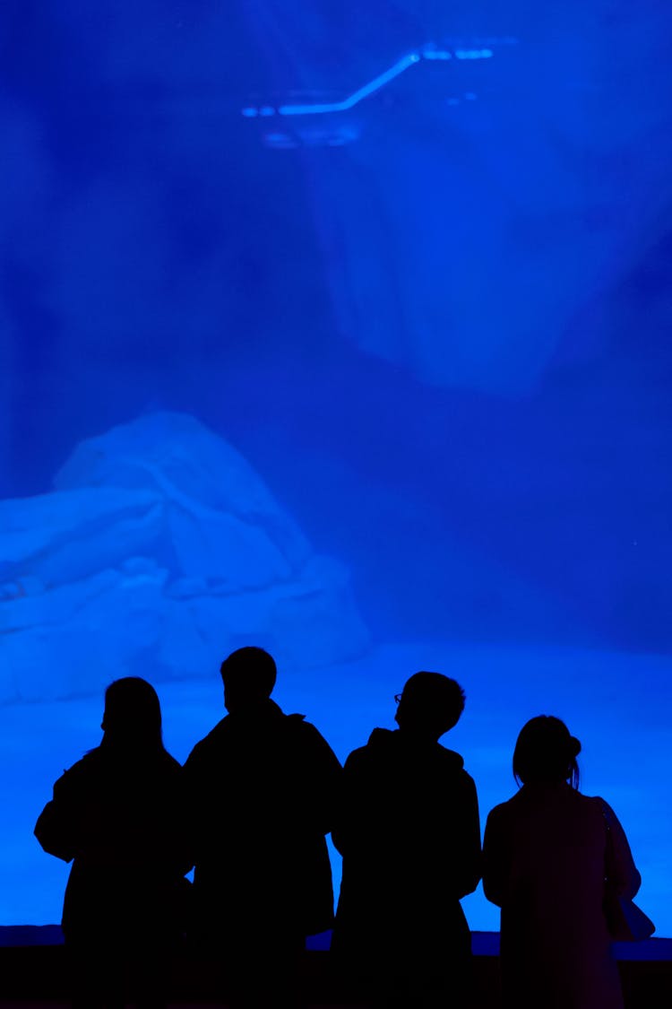 站在水族馆窗前的人们