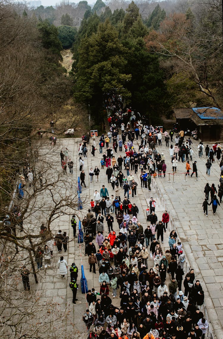 森林公园拥挤的人行道