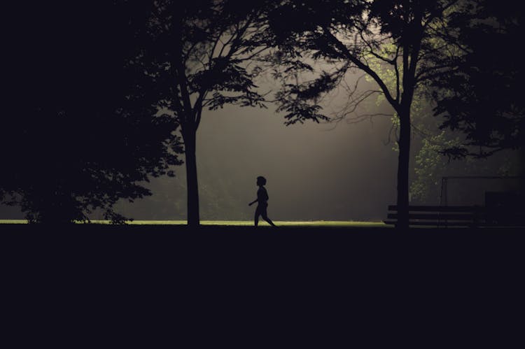 夜晚在公园散步的孩子的剪影