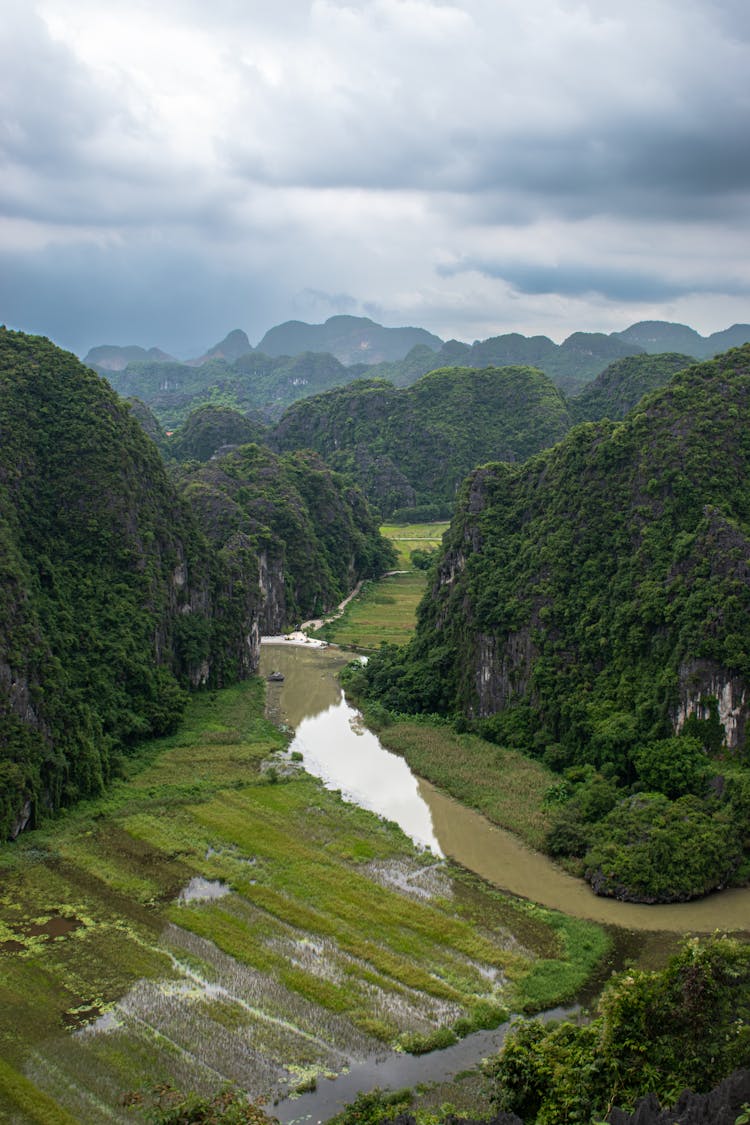 越南青山峡谷的稻田和溪流