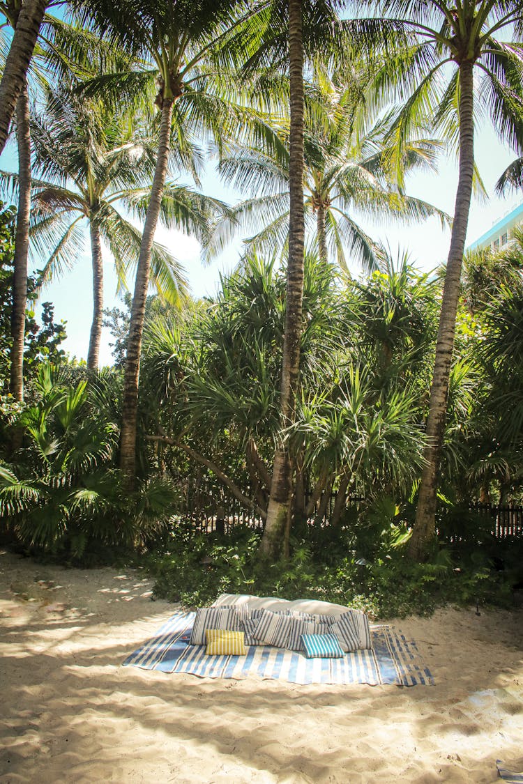 棕榈树下的热带海滩放松