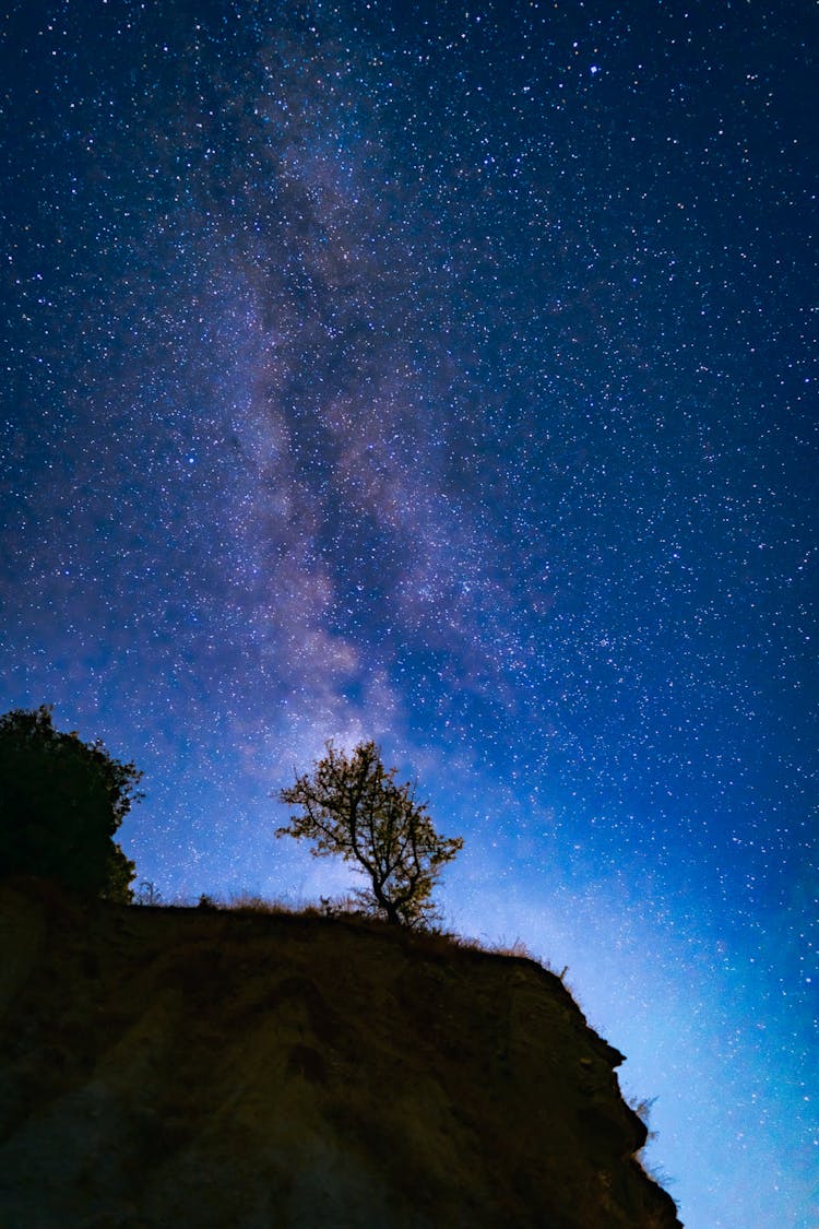 星空下悬崖上的一棵孤零零的树