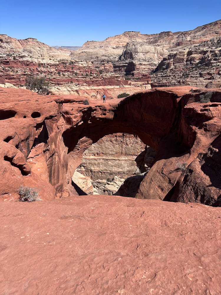 美国犹他州卡西迪·阿奇