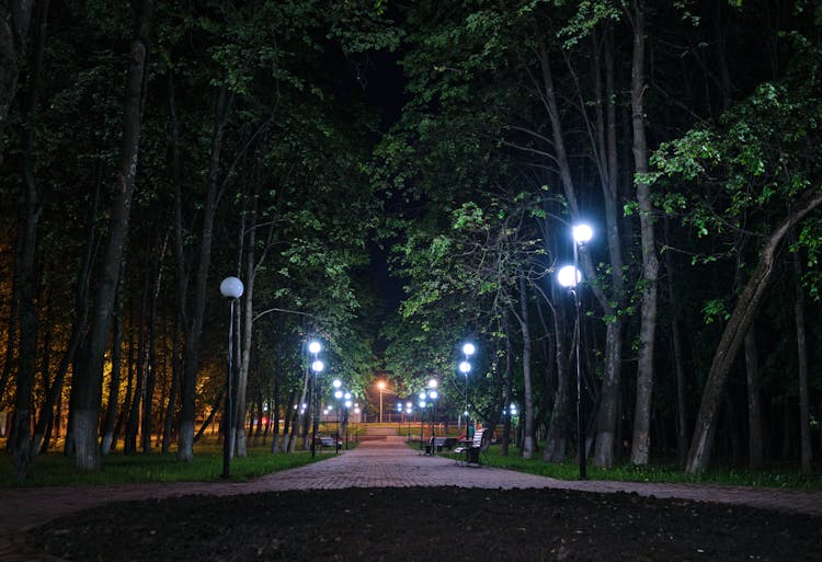 夜晚空旷的公园