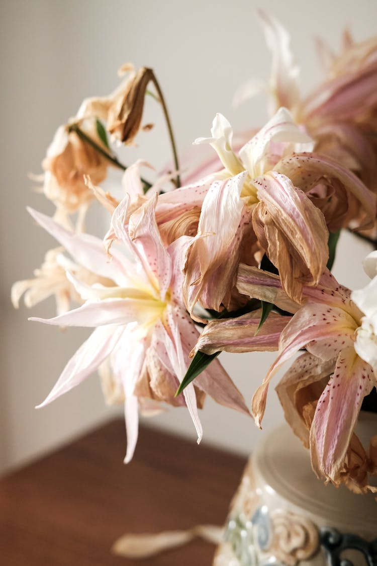 百合花