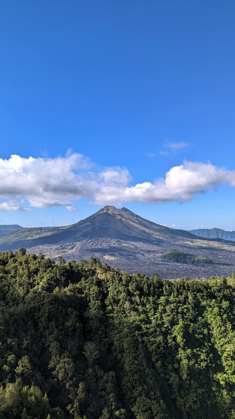 蓝天下的森林和山脉景观