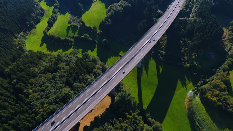 无人机拍摄绿地和树木上方的高架道路