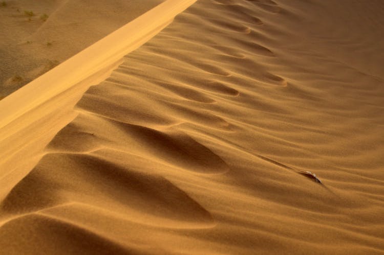 撒哈拉沙漠日落时分的金色沙丘