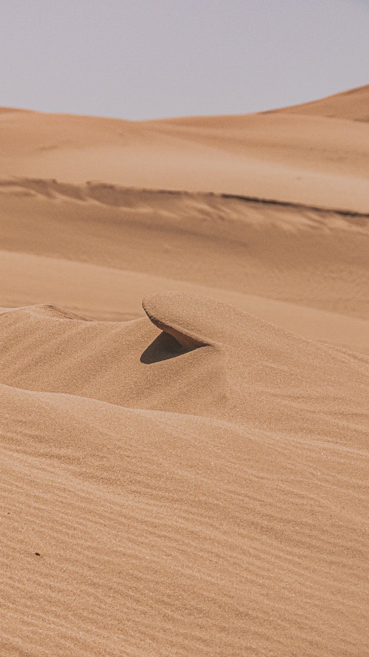 阿尔及利亚撒哈拉沙漠的原始沙丘