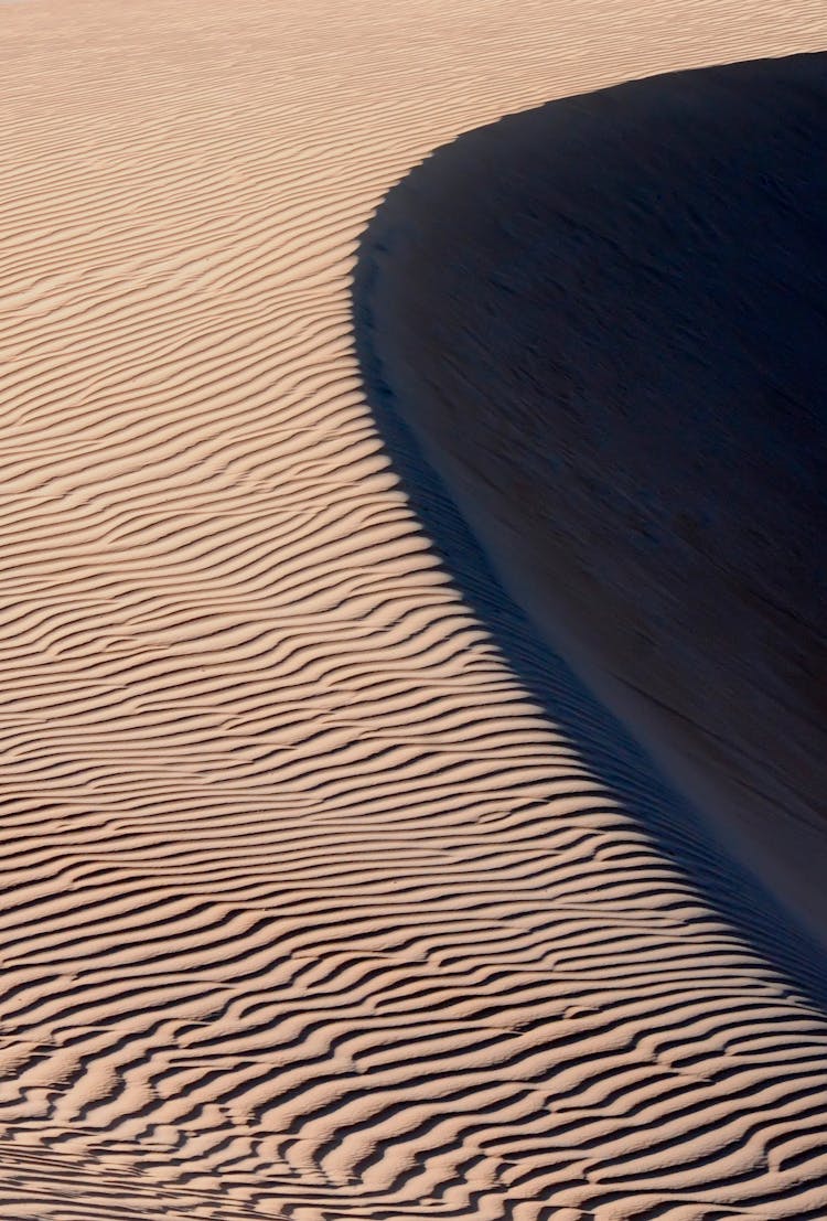 阳光照耀下的沙漠之影