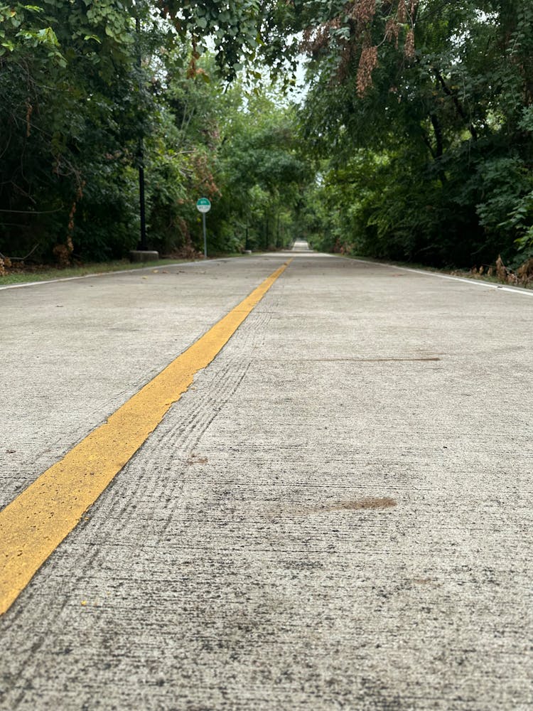 一条以黄线和树木为背景的道路