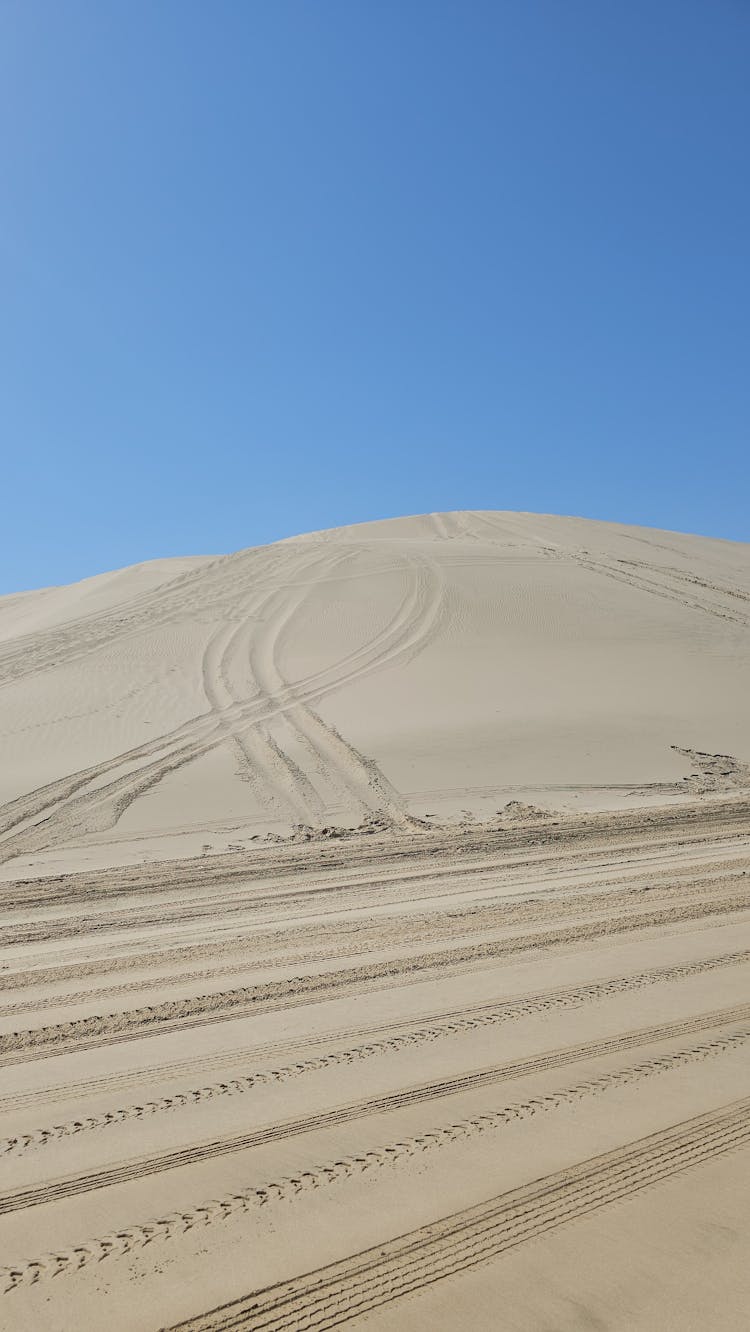 有轮胎痕迹的沙丘
