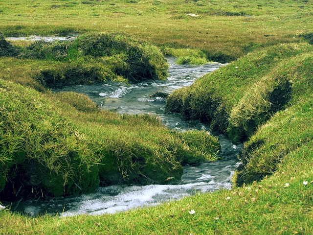 河谷山脉阿根廷