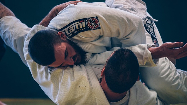巴西柔术bjj格斗运动