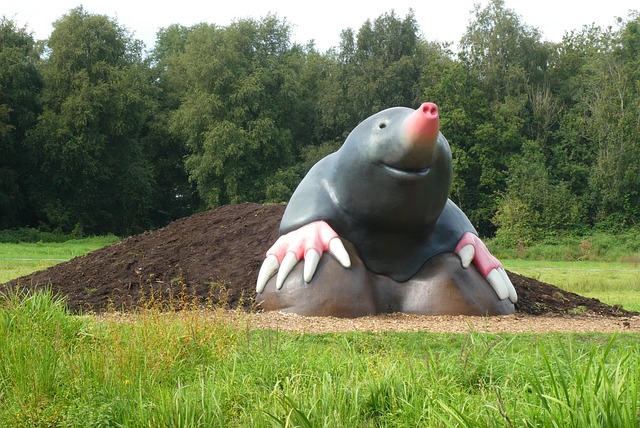 鼹鼠klimtostel游戏攀登