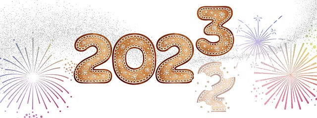 2022年至2023年除夕，西尔维斯特