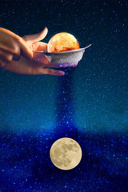 月亮的日子我喜欢夜晚十二生肖猫头鹰