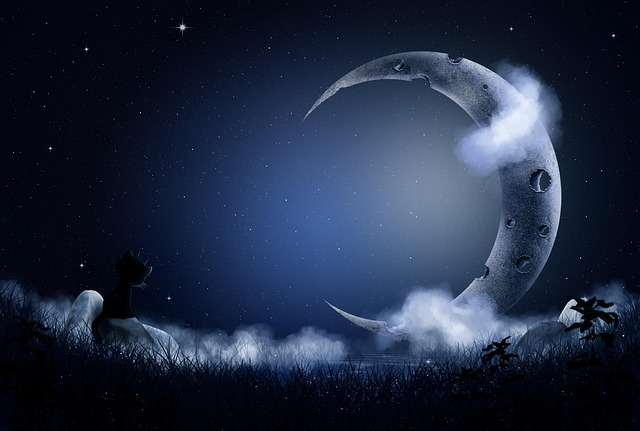 月雾草云星空