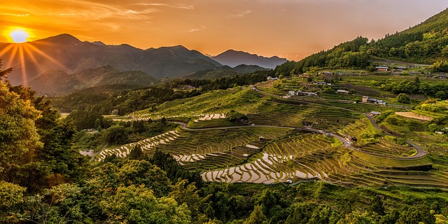 水稻梯田日落山脉