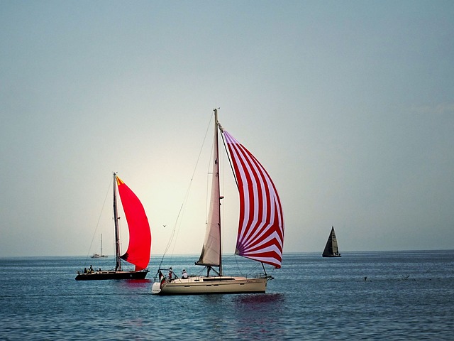 海天舟夏日景观