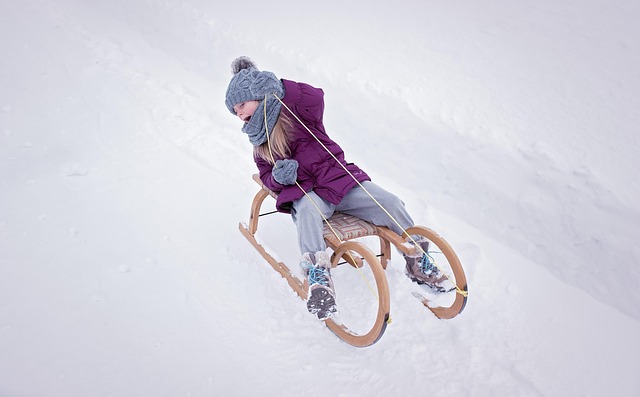 人人类女孩雪橇