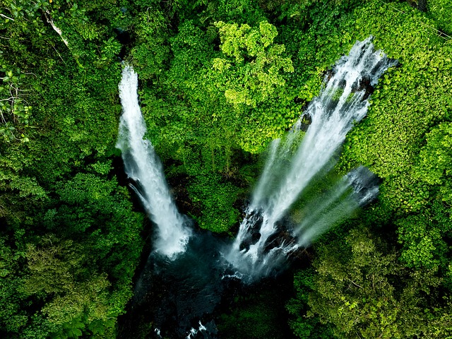 巴厘岛塞昆普尔自然绿色森林
