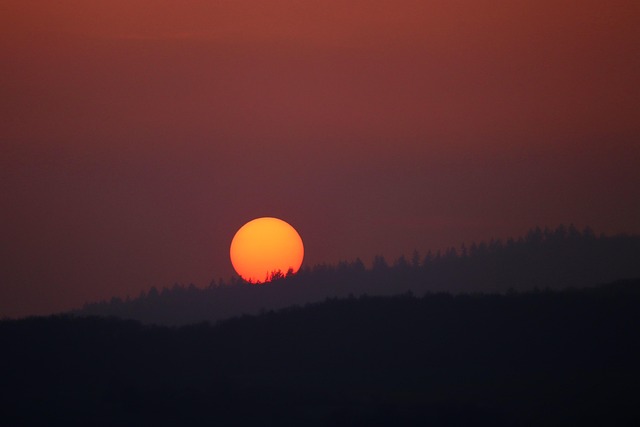 夕阳黄昏地平线森林