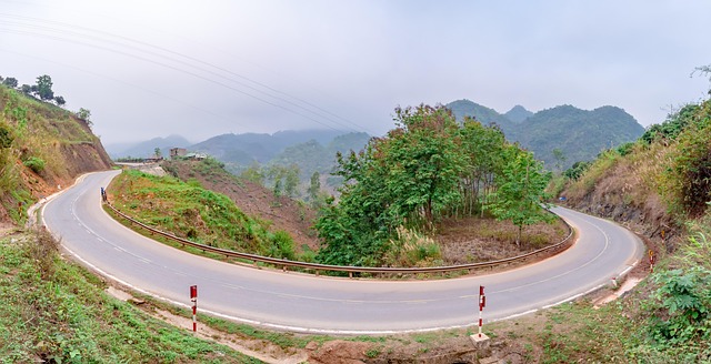 树木青山汽车