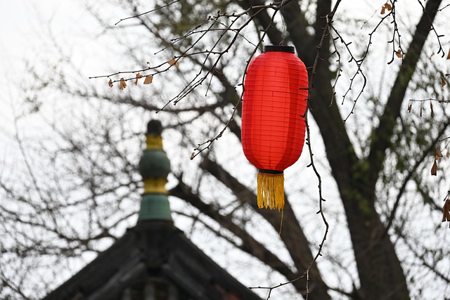 灯笼中国新年花园