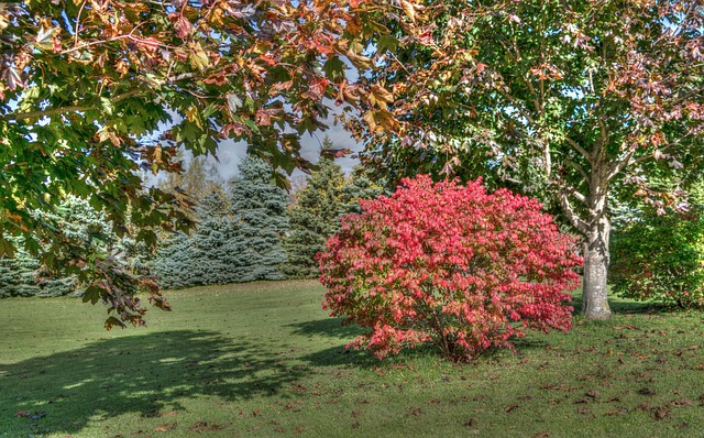 佛蒙特州秋天的树叶景观
