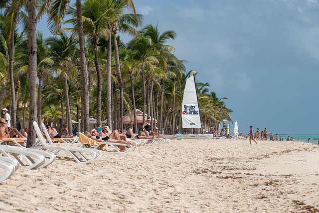 沙滩棕榈树沙滩热带