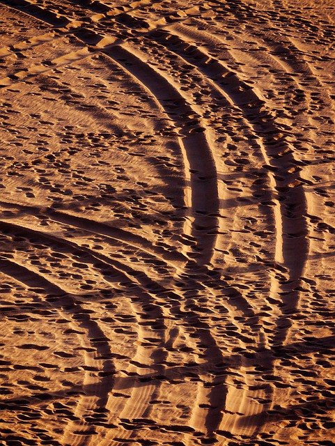 沙漠沙地景观步道沙丘