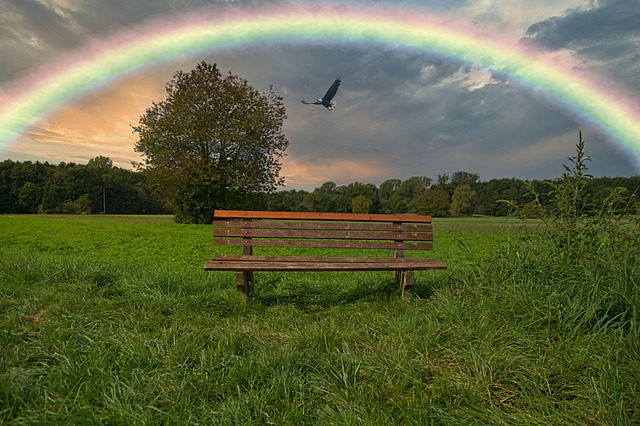 长凳鹰彩虹自然草地