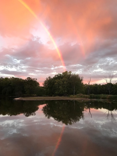 彩虹日出树水池