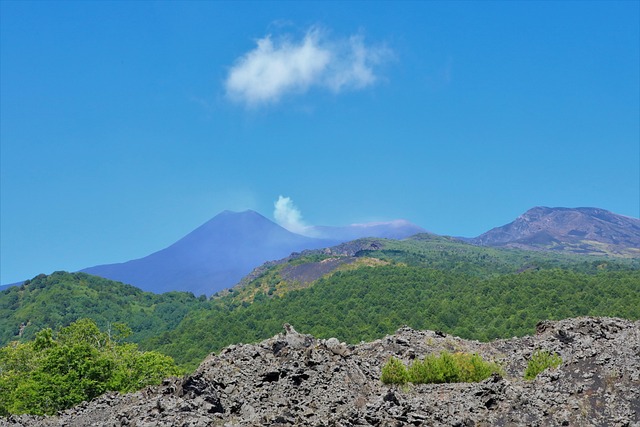 火山山树木森林etna