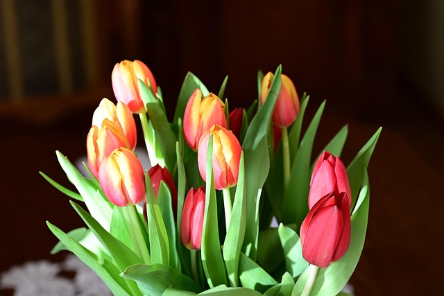 郁金香花瓶花花束花瓣