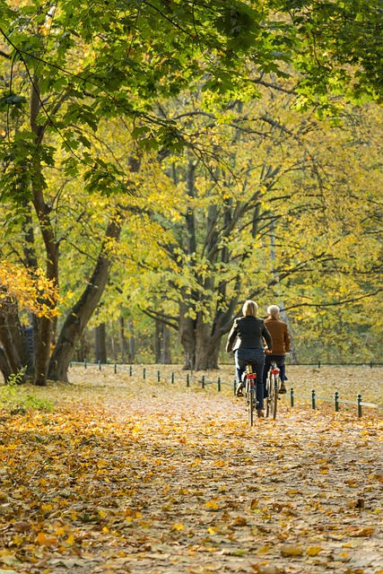 公园自然自行车