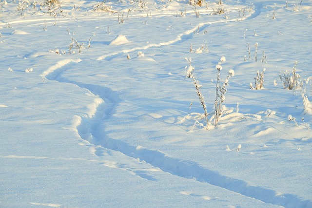 雪步道漫步场
