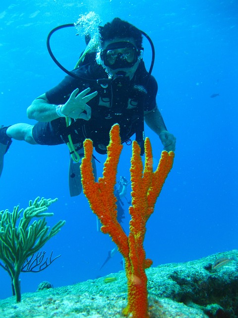 潜水员海底热带海水