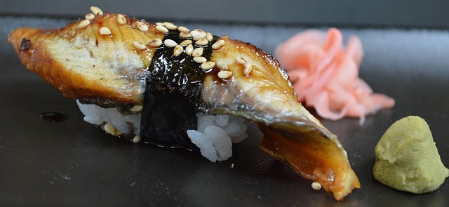 寿司鳗鱼日本饭