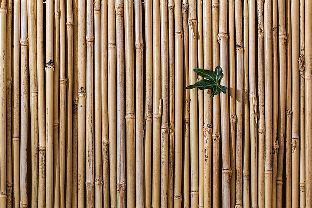 竹栅栏