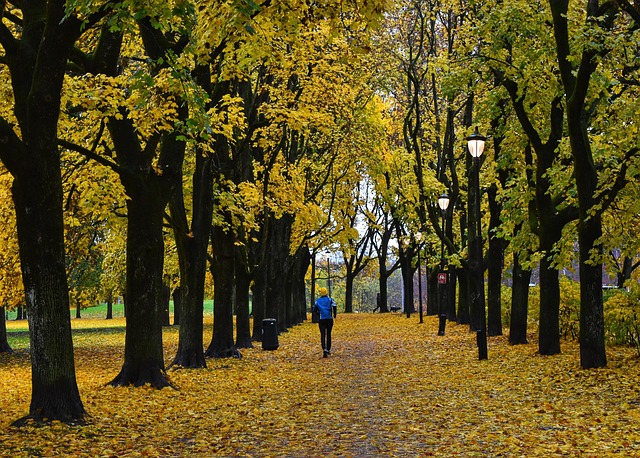 挪威奥斯陆斯堪的纳维亚城市